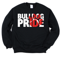 CUSTOM School Pride Colorblock Crewneck Sweatshirt