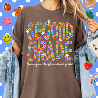 Colorful in Second Grade Tee
