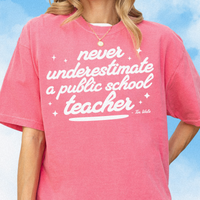 Public School Teacher Tee