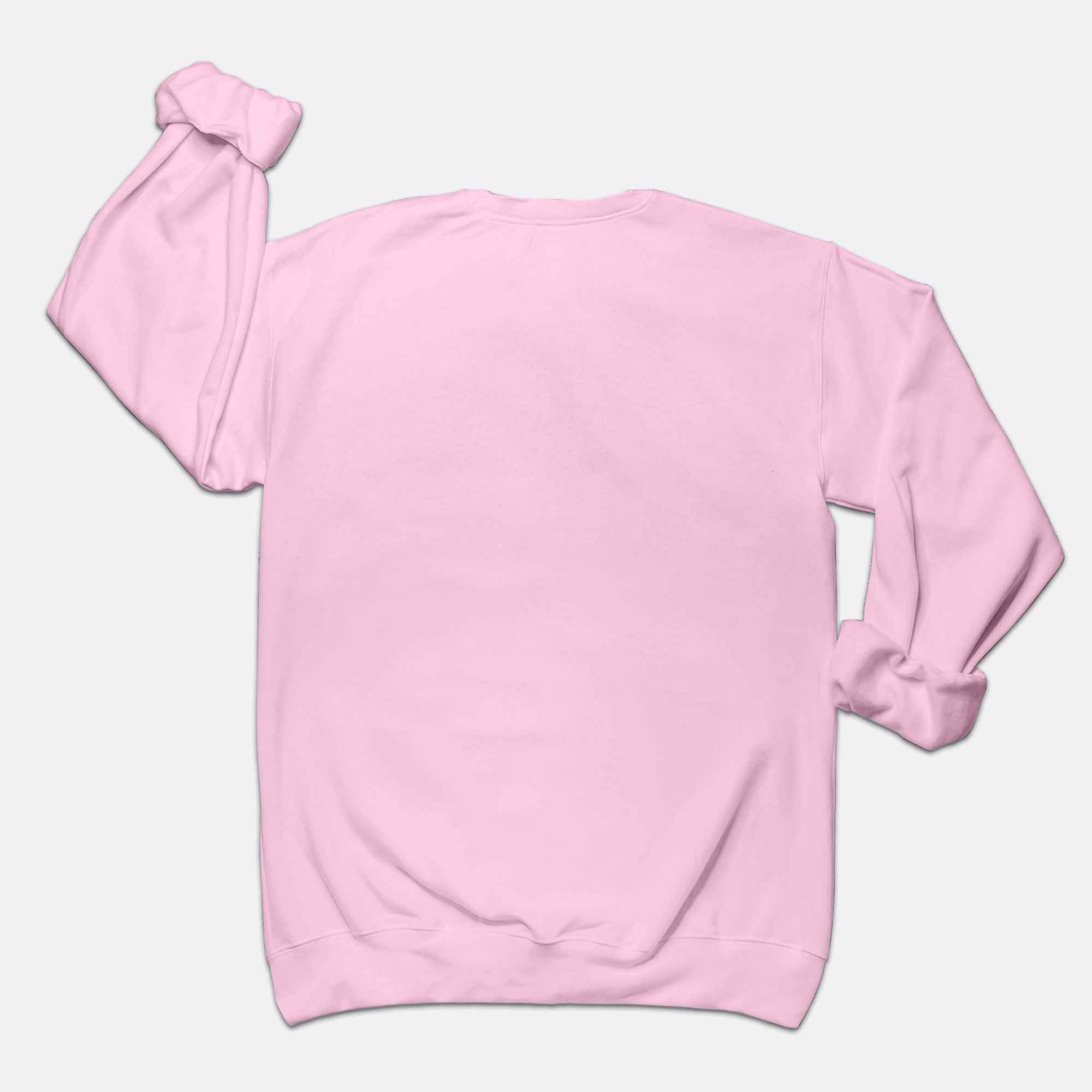 Baby pink crew hot sale neck sweatshirt